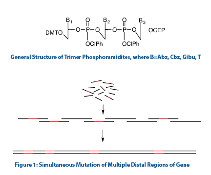 Trimer Phosphoramidites Trimer Phosphoramidites