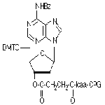 dA-CPG 1000