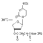 dC-CPG 2000