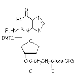 dG-CPG 1000