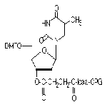 dT-CPG 1000