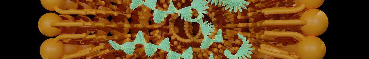 Epigenetics and DNA Methylation