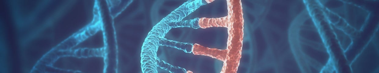 Convertible Nucleosides To Detect Polymerase Bypass In DNA Lesions