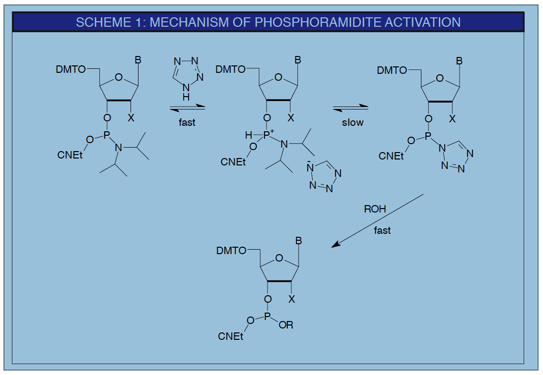 Scheme 1