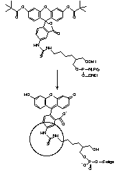 Figure 2A