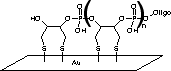Figure 1B