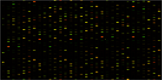 Figure 2A