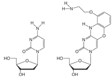 Figure 1A