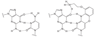 Figure 1C