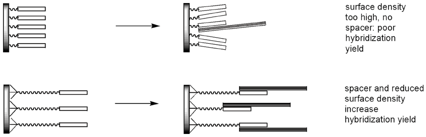 Stability of trityl cations