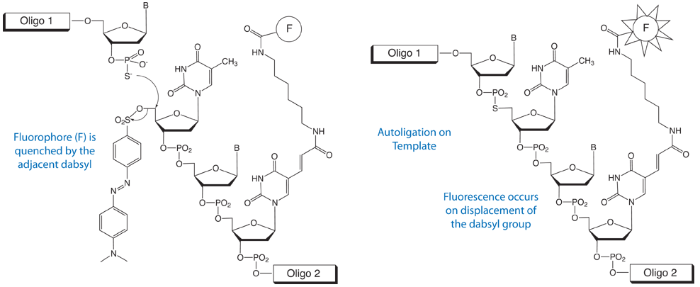 Stability of trityl cations