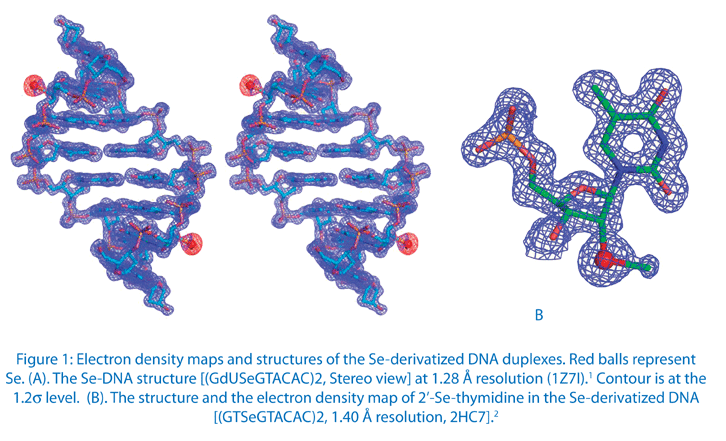 Stability of trityl cations