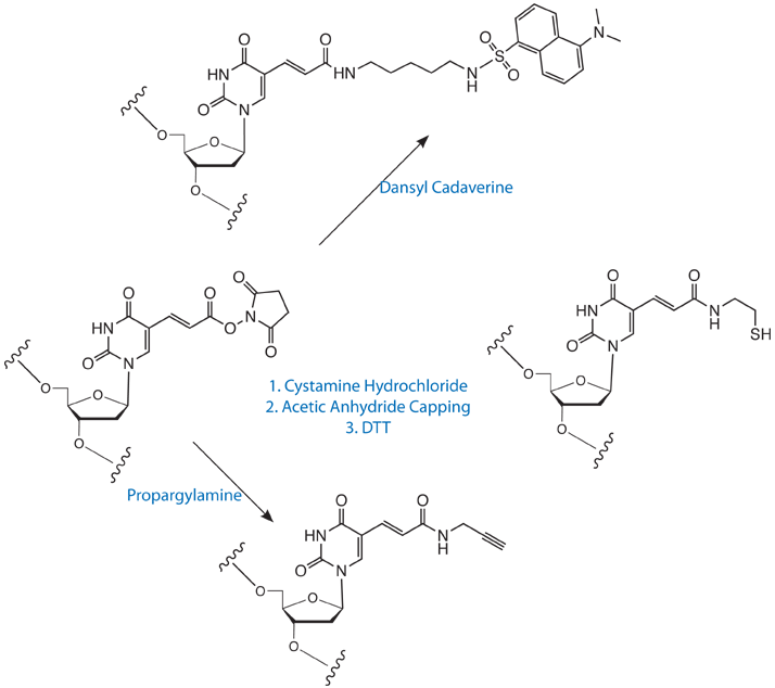 Stability of trityl cations