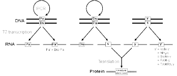 fig2