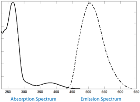 Figure 2a