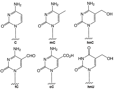 FIgure1