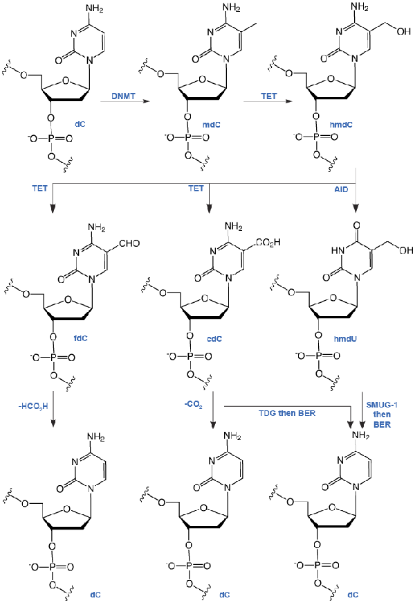 Figure1