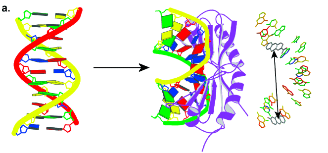 Fig2