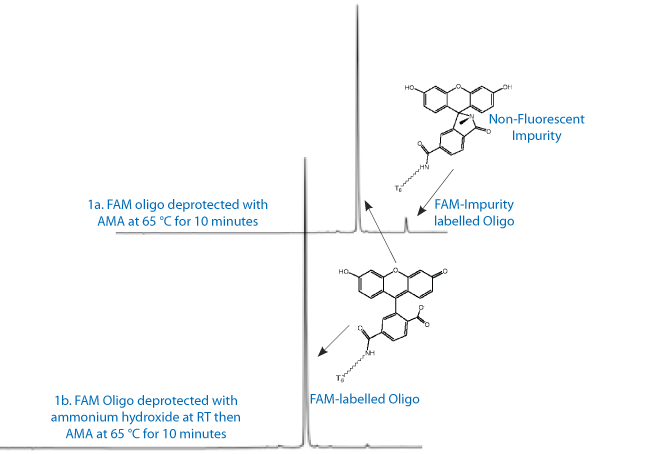 Fig1