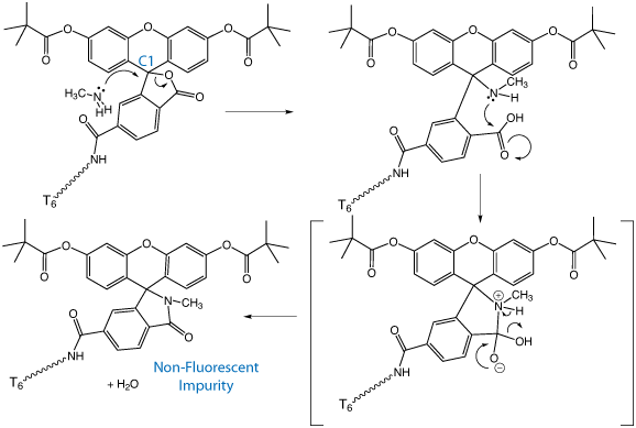 Fig1