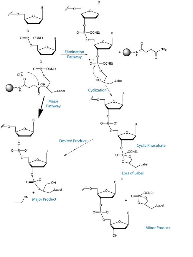 Fig2