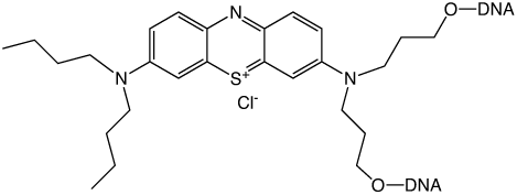 Fig1