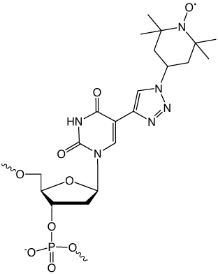 Fig2