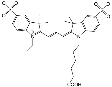 Fig2