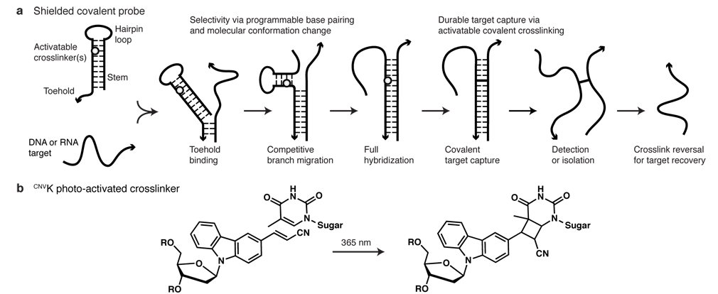 Fig2