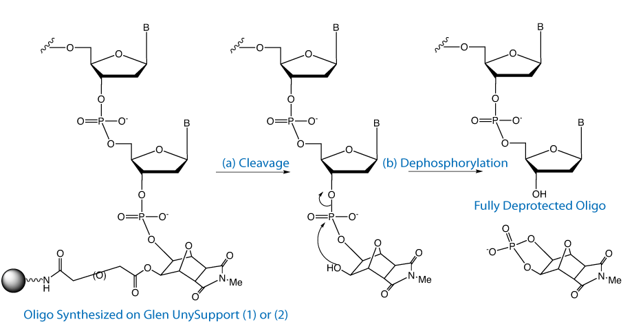 Fig2