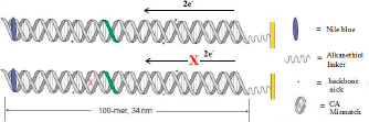 Figure 2a
