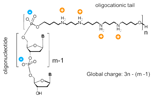 Glen Report 28 11 Zip Nucleic Acids Zna Are Powerful Cationic Oligonucleotides For Molecular Biology Br Diagnostic And Therapeutic Applications