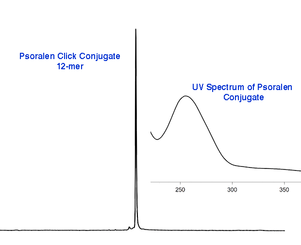 Figure 2A