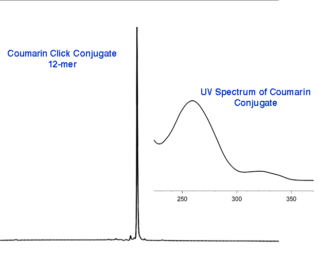 Figure 2B