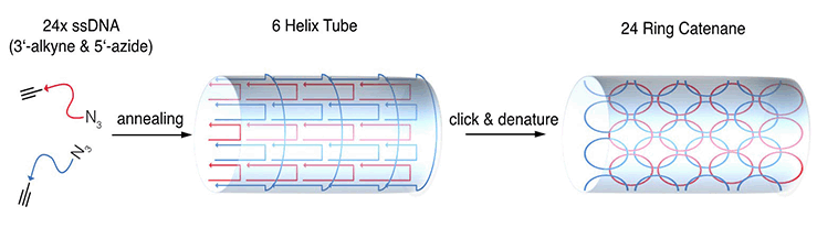 width=