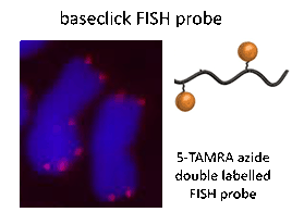 Figure 4a