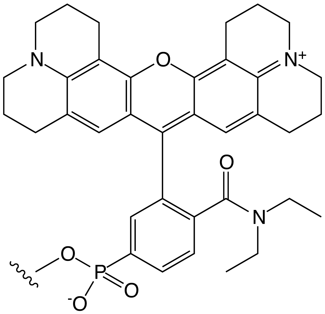 figure 2a