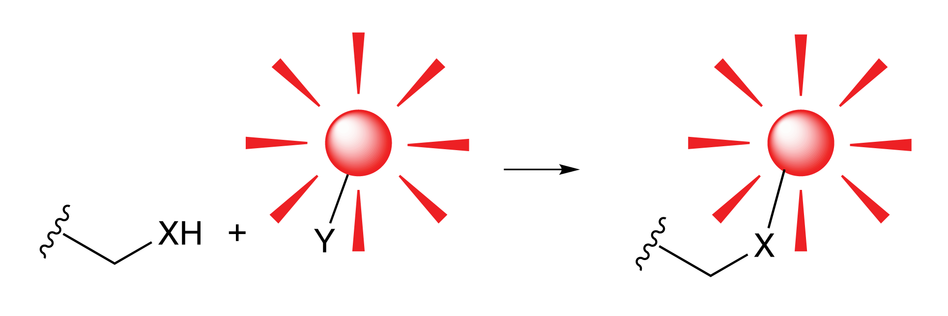 Modification