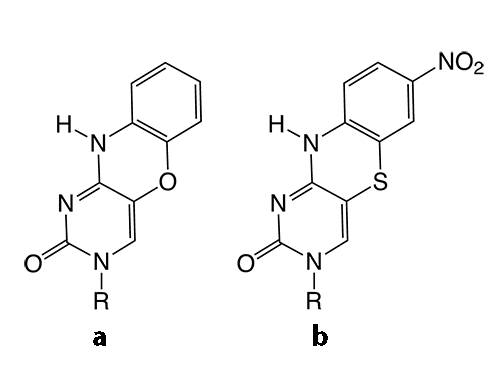 Figure 2a