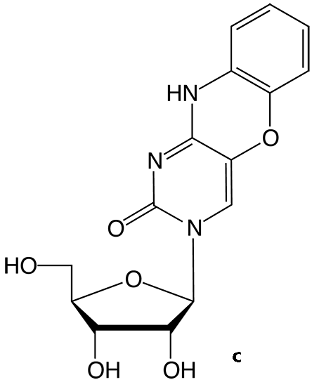 Figure 2b