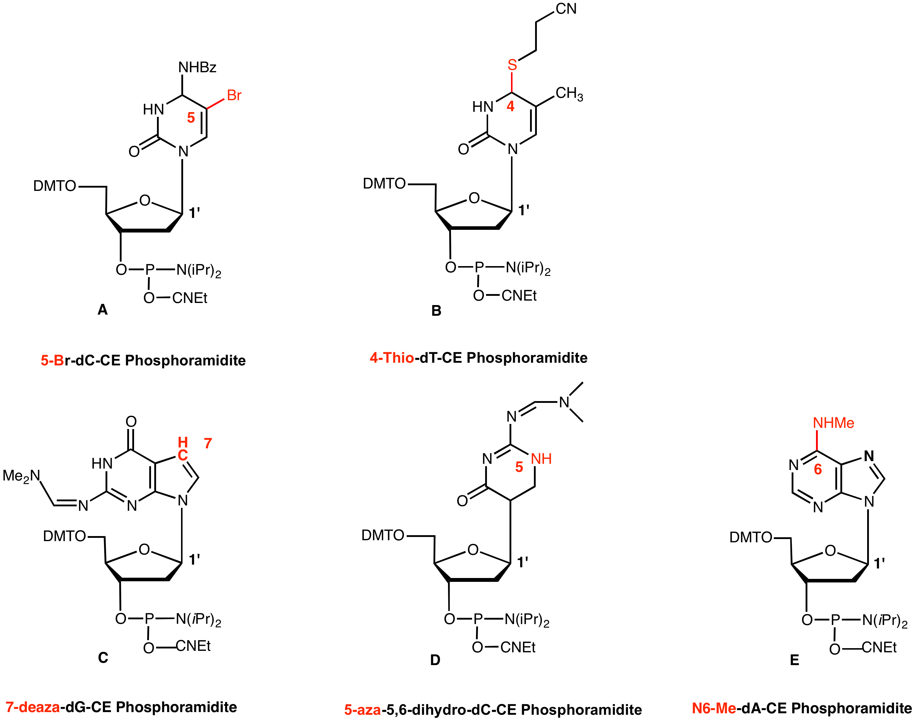 Biosynthesis of purine and pyrimidine nucleotides and their regulation,  Purine salvage pathways, Catabolic pathways of purine and pyrimidine  nucleotides - Biotech MCQ