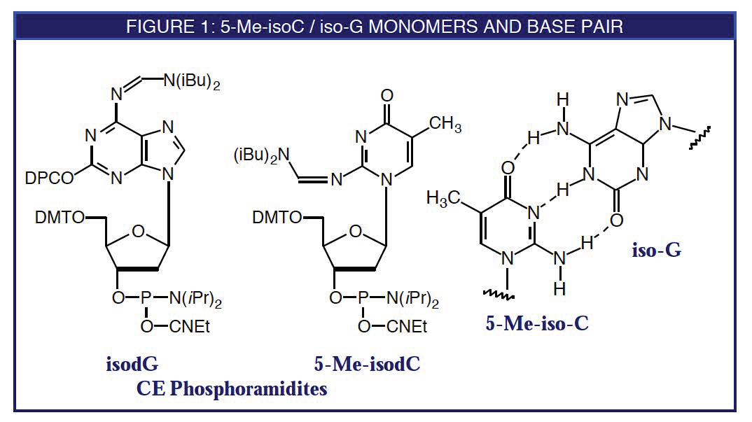 Glen Report 8 12 5 Methyl Isocytidine Isoguanosine Base Pair Glen Report 8 12 5 Methyl Isocytidine Isoguanosine Base Pair