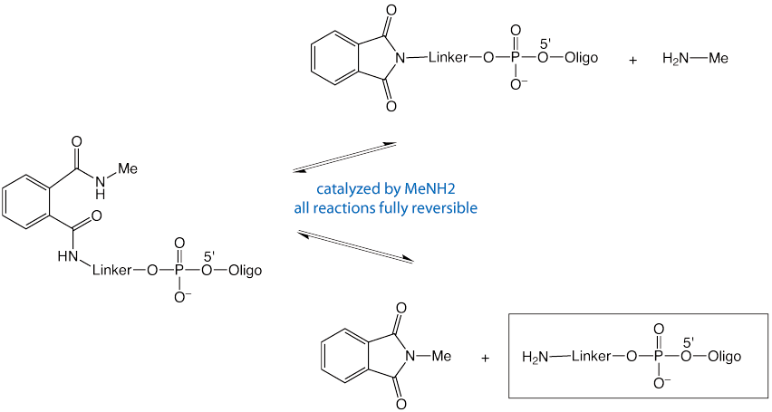 PDA-off amino-modified oligonucleotide and its biotin conjugate