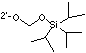 TOM Group