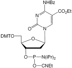 10-1062