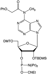  width=