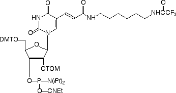 10-3039