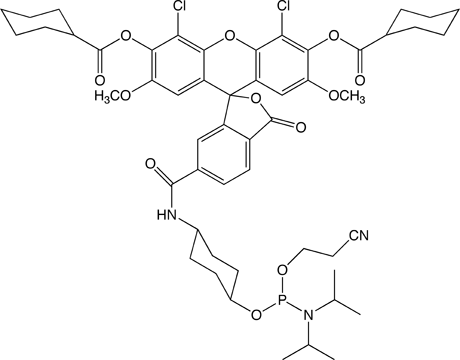 10-5904