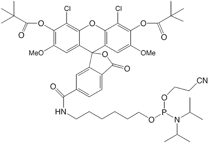 Fig2
