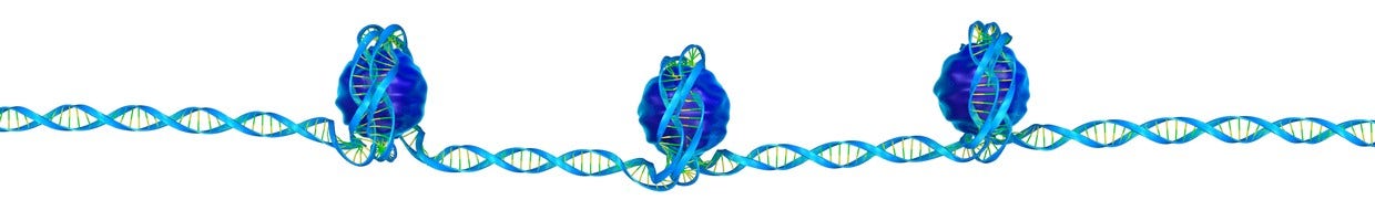 Epigenetics and DNA Methylation